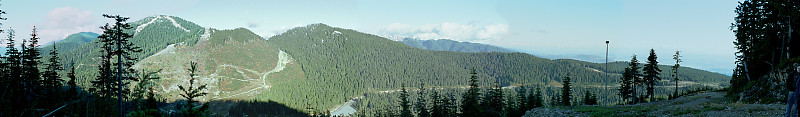Panoramic
